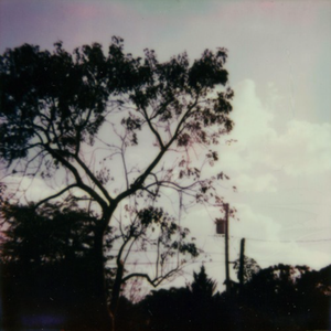 亚洲老女人毛绒绒
