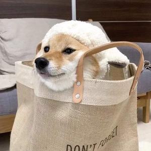 亚洲老女人毛绒绒
